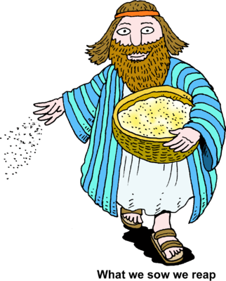 322x400 Image Man Scattering Seed