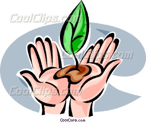 300x251 Seed Clipart Plant Seed