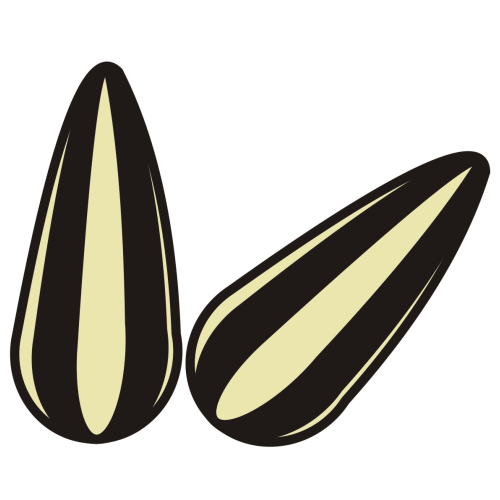 500x500 Seeds Clip Art Cliparts