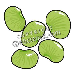 300x300 Seeds Clipart Lima Bean