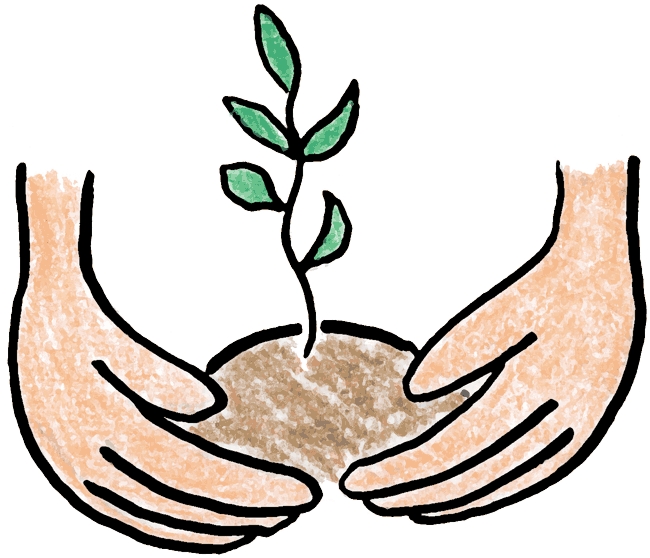 650x558 Seeds Clipart Plant Science