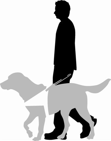 380x480 Other Gift Vouchers Amp Coupons