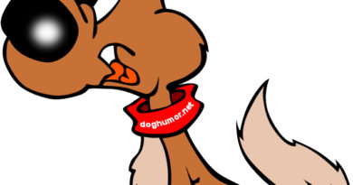 390x205 Seeing Eye Dog Dog Humor