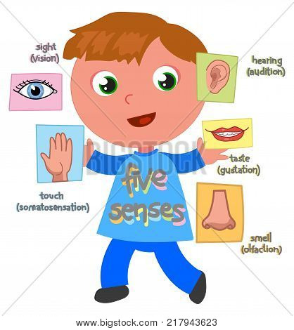 418x470 Sense Images, Illustrations, Vectors