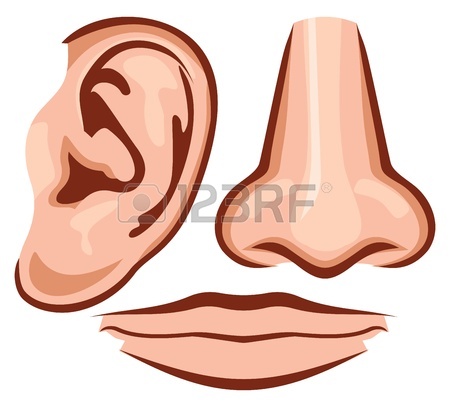 450x407 Five Senses Illustrations With Hand For Touch, Eye For Sight