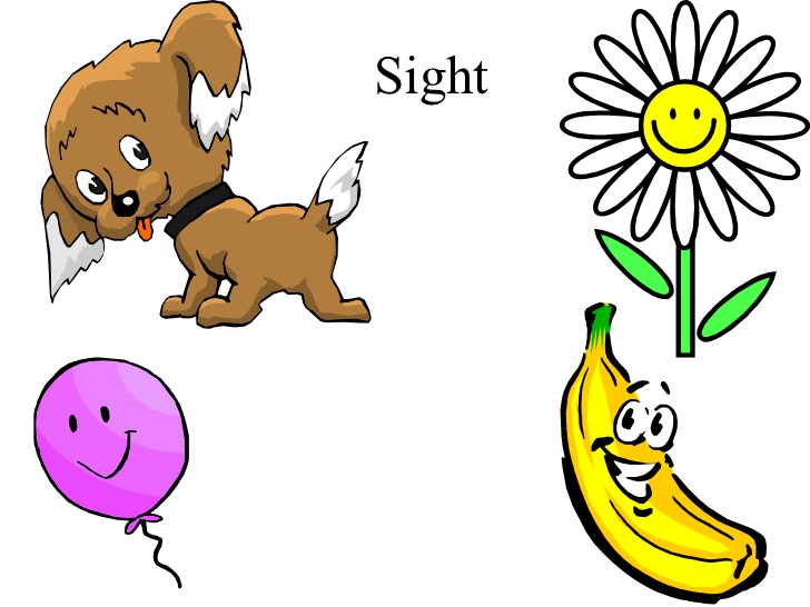 Sense Of Sight Clipart Free Download On Clipartmag