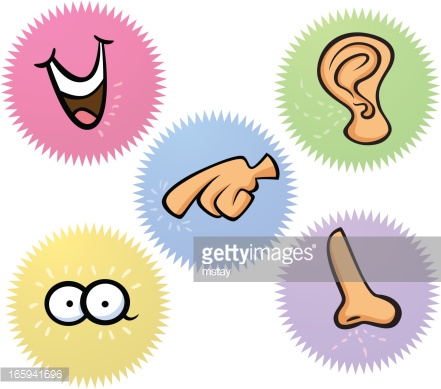 441x389 Five Senses Clipart Many Interesting Cliparts