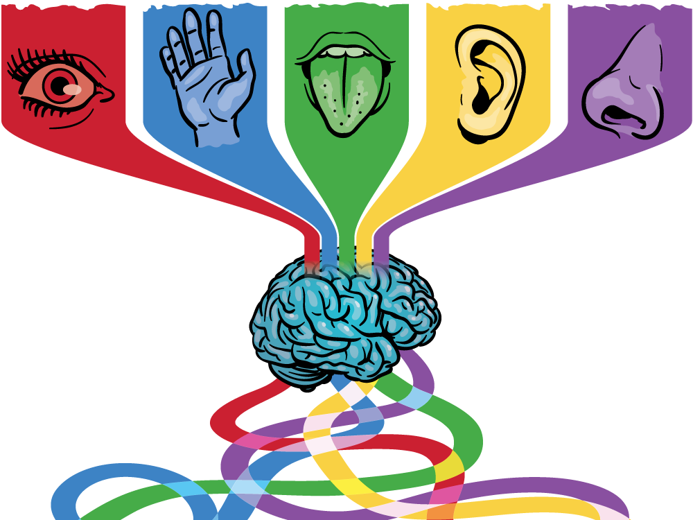 1000x750 It's Not Just About Your Tongue. New Studies On Taste Find That