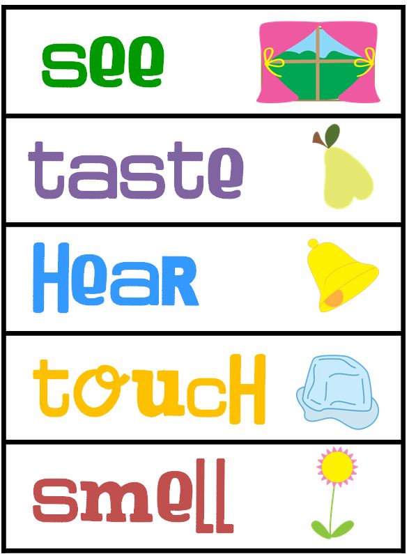 587x795 Five Senses Clipart