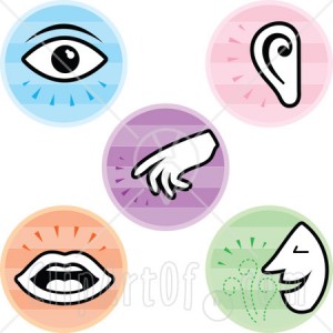 300x300 Sensory Activities Clipart