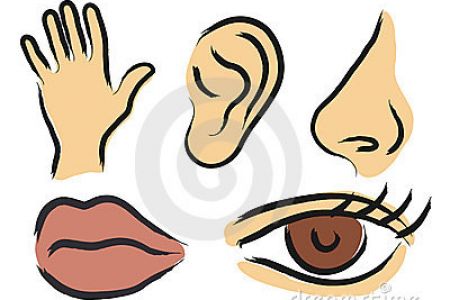 450x300 Sensory Toys Clip Art