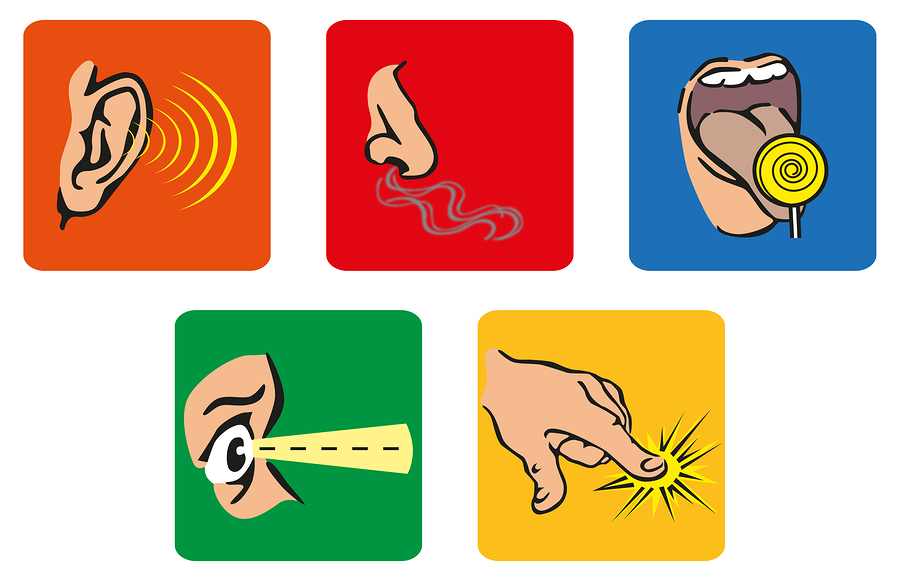 900x581 Sensory Details Clipart