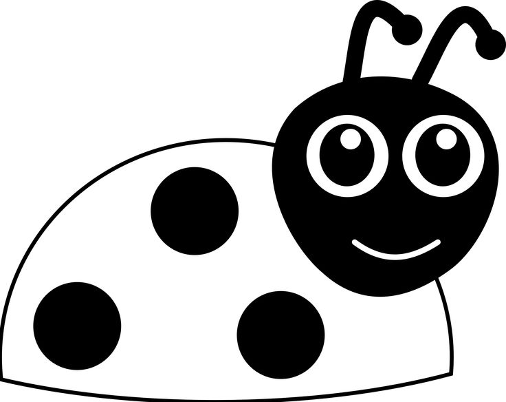 736x584 Lady Beetle Clipart September Flower