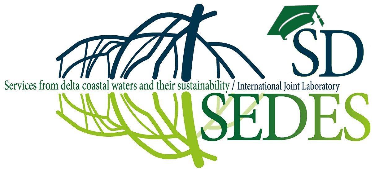 1211x555 Sedes Student Day