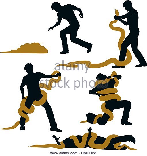 511x540 Snake Stock Vector Images