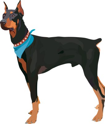 340x401 Dog Clip Art