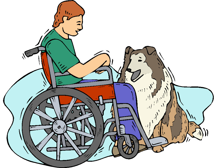 929x717 Service Dog Or Not West Wind Dog Training