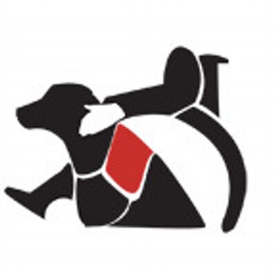 400x400 Service Dogs Of Va (@servicedogsva) Twitter