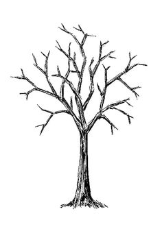 236x337 Bare Tree Option Church Decor Advent And Lent