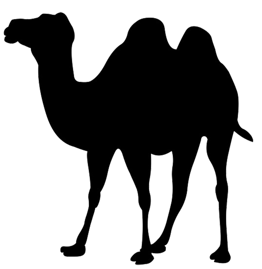 919x945 Shadow Clipart Giraffe