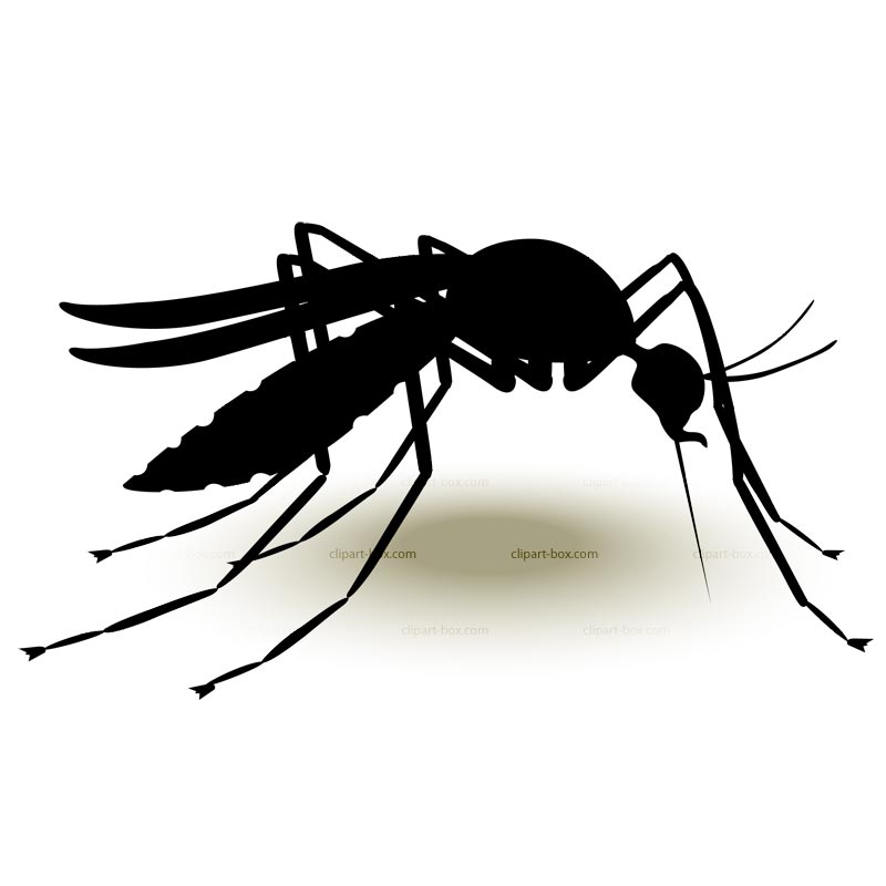 800x800 Shadows Clipart Mosquito