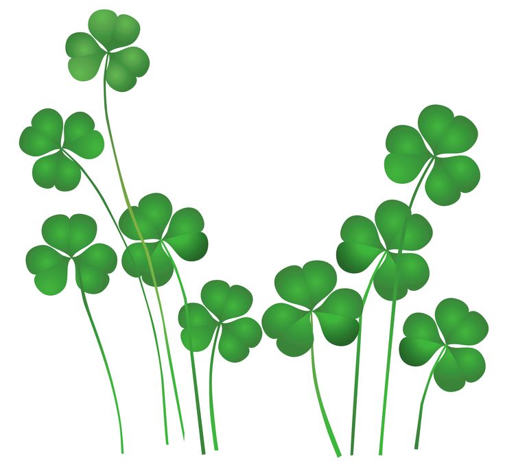 736x688 Ideas About Shamrock Clipart On Leprechaun 2