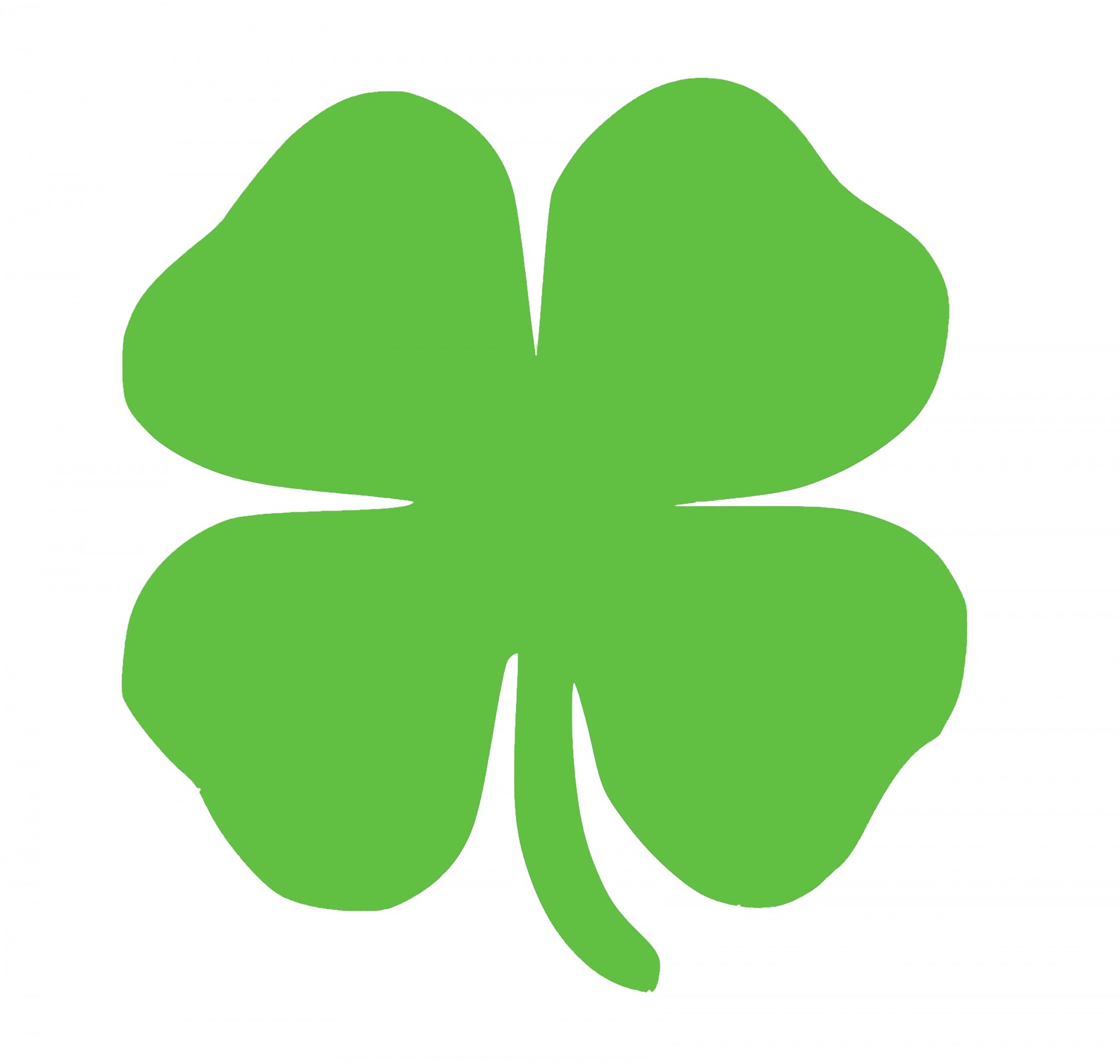 1920x1824 Shamrock For St Patrick's Day Free Stock Photo