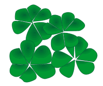212x178 St. Patrick's Day Shamrocks Clip Art