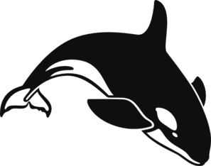 297x234 Killer Whale Clipart Cute