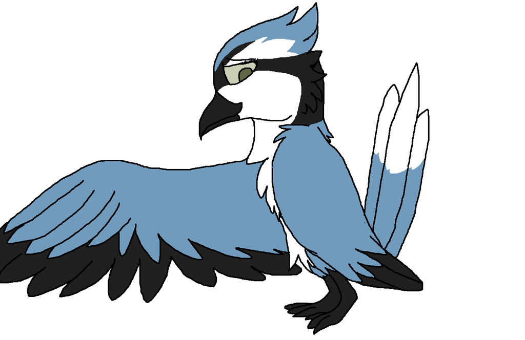 1024x664 Shamu Cartoon