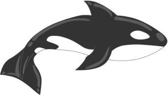 340x193 Tail Clipart Killer Whale