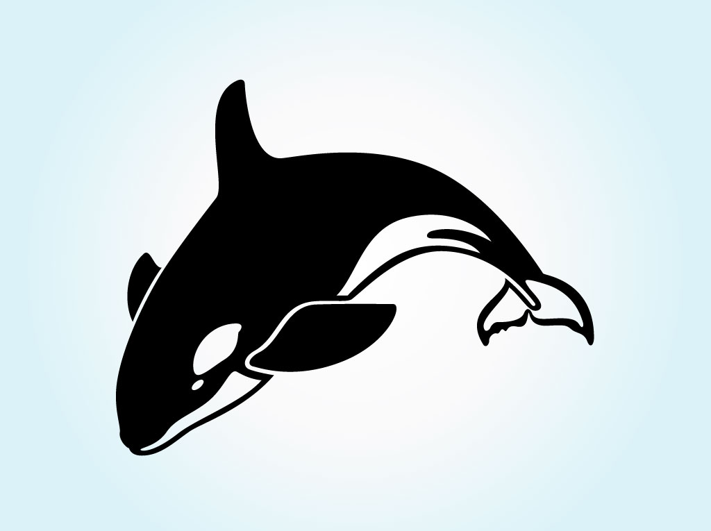 1024x765 Top 88 Orca Clip Art