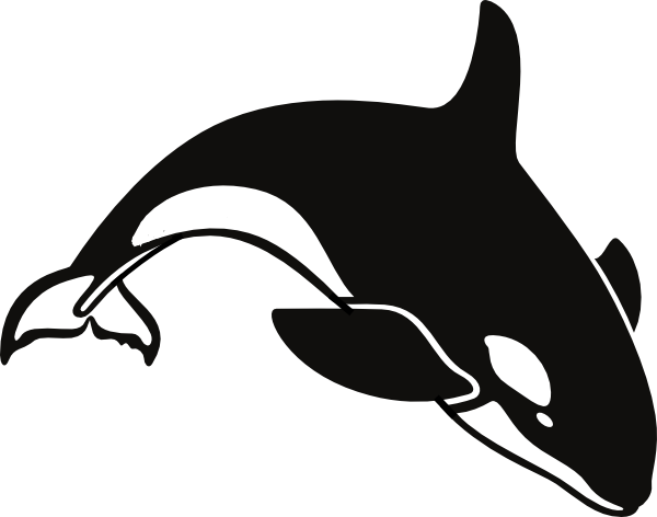 600x472 Orca Clip Art