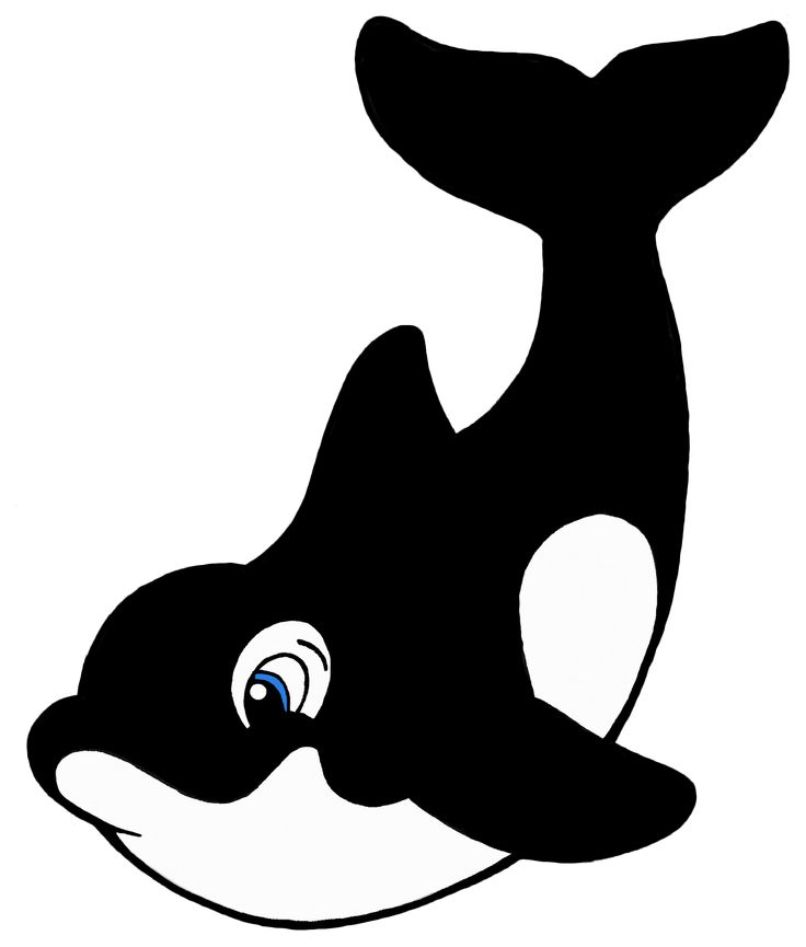 736x865 Orca Clipart Shamu