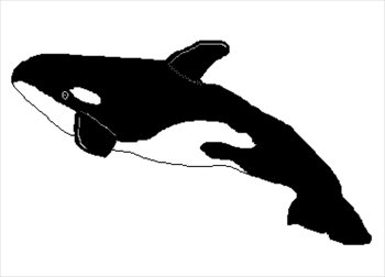 350x252 Orca Shamu Killer Whale Clip Art