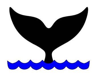 340x270 Shamu Etsy
