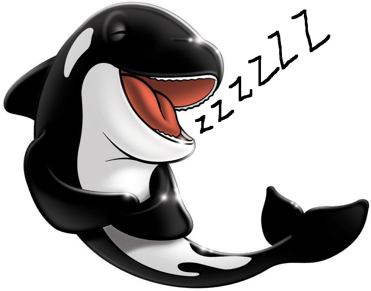 1200x943 The Ranter's Box Sea World Called And Shamu Wants His Tongue Back