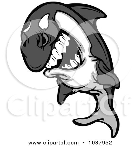 450x470 Top 90 Orca Clipart