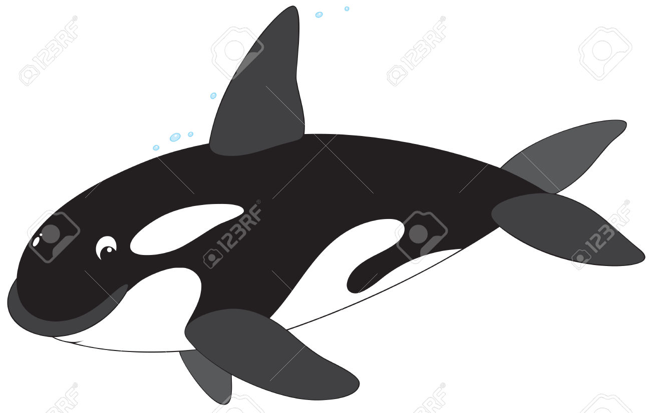 1300x826 Top 91 Orca Clip Art