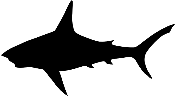 600x338 Shark Sil Clip Art