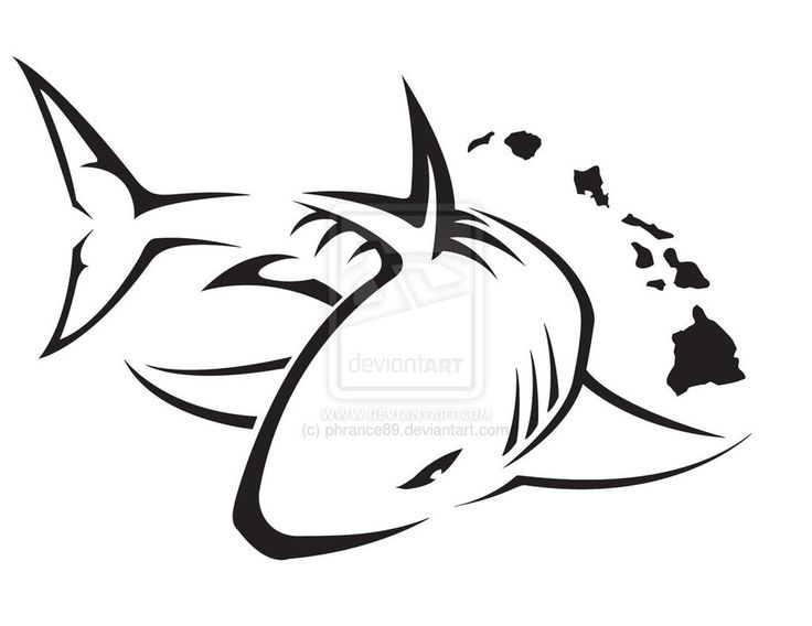 736x568 Tattoo Clipart Shark