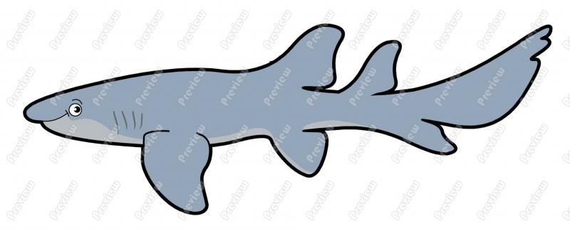 800x325 Nurse Shark Character Clip Art
