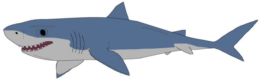 1024x326 Great White Shark Clip Art Cliparts