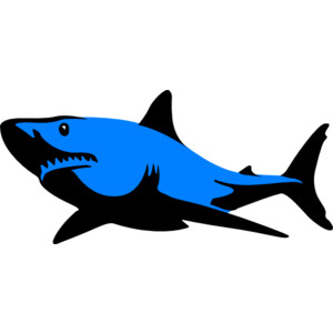 300x300 Hammerhezad Shark Clipart Clipart