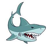 170x170 Shark Clip Art