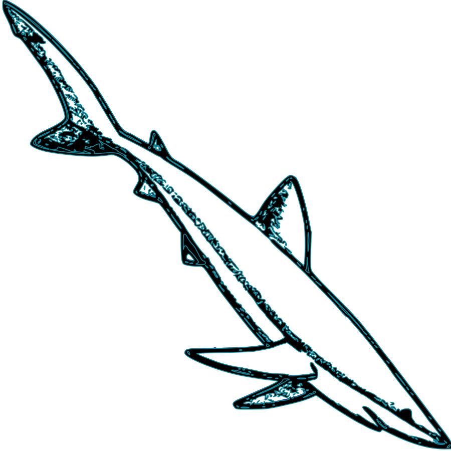 900x900 Shark Vector
