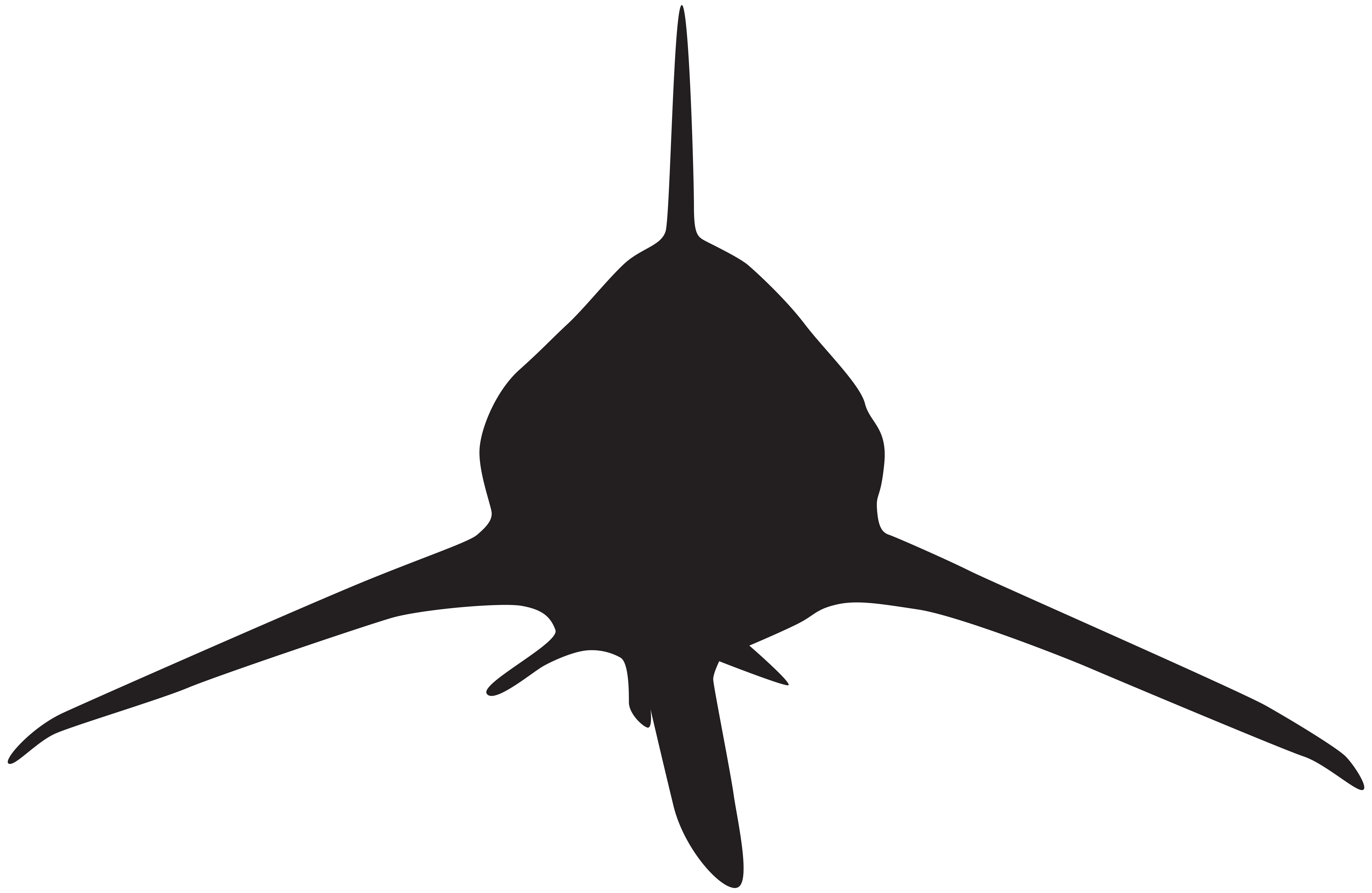 8000x5209 Shark Attack Silhouette Png Clip Art Imageu200b Gallery Yopriceville