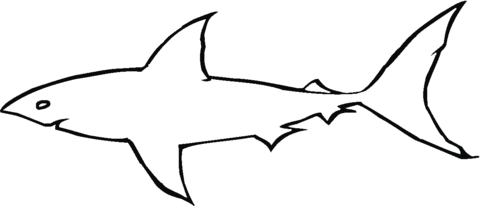 480x206 Staggering Shark Outline 55 Shape Templates Crafts Colouring Pages