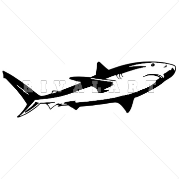 361x361 Tiger Shark Clip Art Clipart Panda