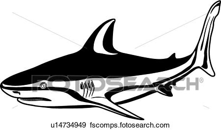 450x265 Clip Art Of Bull Shark U14734949